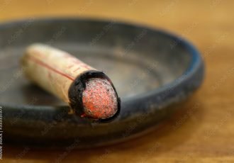 AdobeStock_353531575_Preview AdobeStock_353531575_Preview